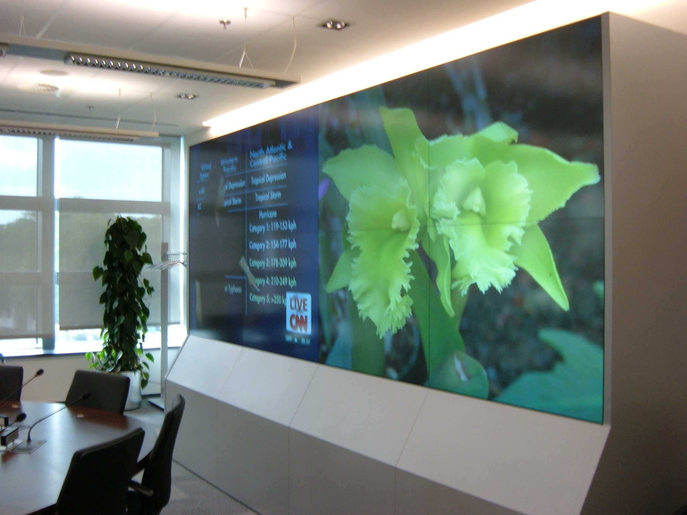 Radiofreeeuropeplanar50inch